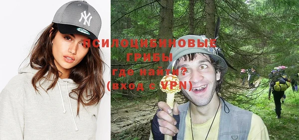 соль ск Алзамай
