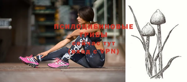 синтетический гашиш Алексин
