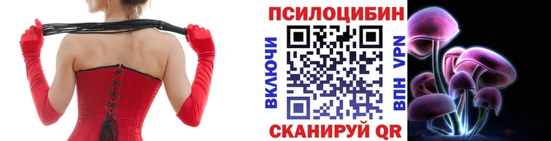 даркнет сайт  Протвино  kraken ссылки  Псилоцибиновые грибы Magic Shrooms 