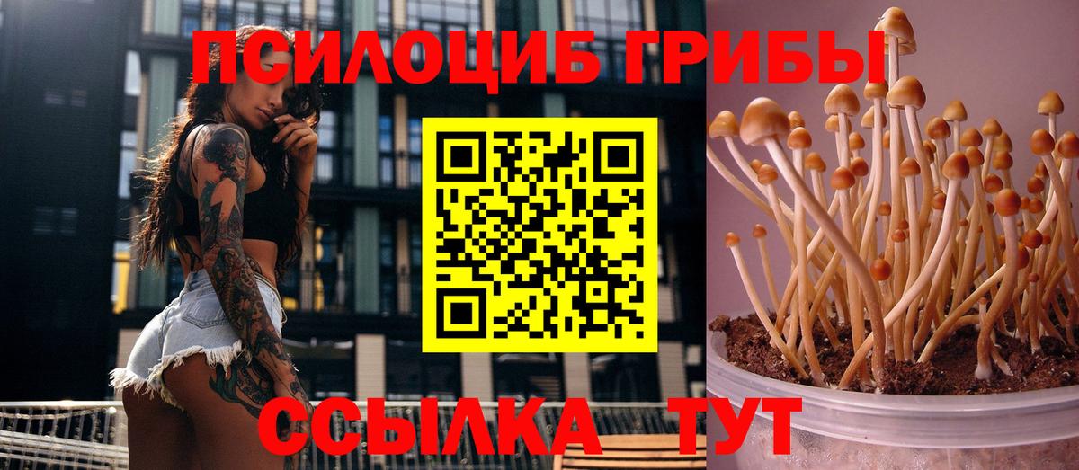Галлюциногенные грибы мицелий  Вход с VPN  Протвино  Галлюциногенные грибы мухоморы 