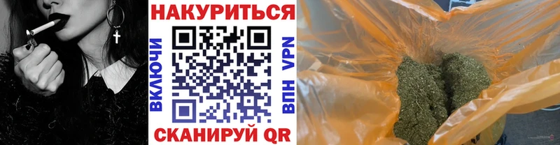 Бошки Шишки план  Протвино 